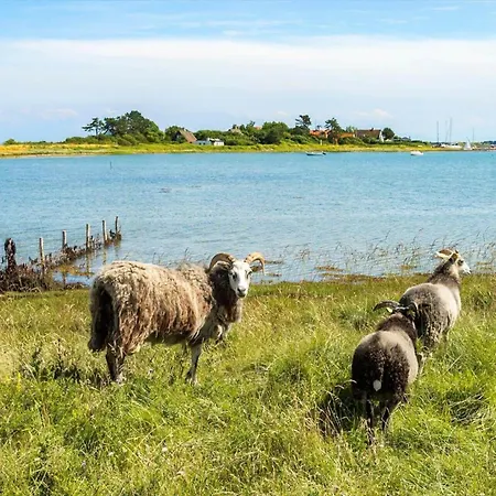 20141-samso-ballebjergvejen-9 * Nordby (Midtjylland)